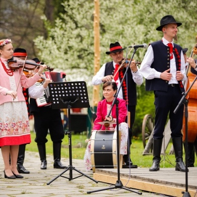 Stawianie moja w pszczyńskim skansenie - 01.05.2022