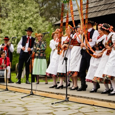 Stawianie moja w pszczyńskim skansenie - 01.05.2022