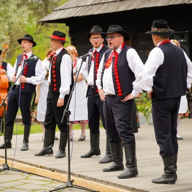 Stawianie moja w pszczyńskim skansenie - 01.05.2022