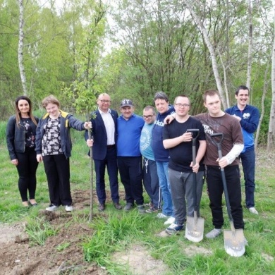 Sadzenie drzew na terenie na osiedlu Piastów