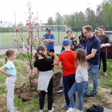 Sadzenie drzew na terenie na osiedlu Piastów