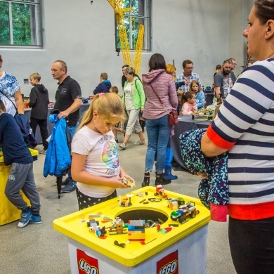 Wystawa klocków LEGO w Pszczynie - 20-21.08.2022