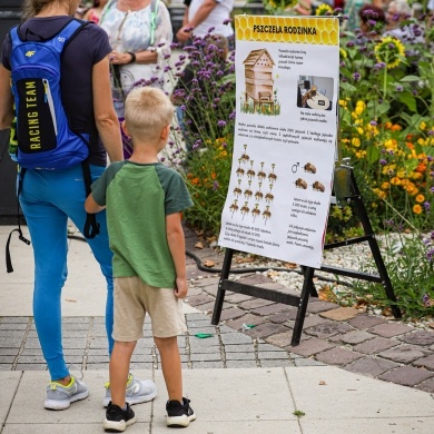 XIV Śląskie Dni Miodu - 04.08.2024