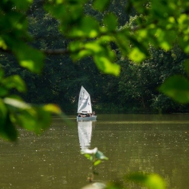 Park pszczyński, 31.08.2024 r.