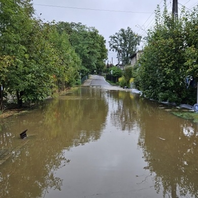 Sytuacja powodziowa w gminie Pszczyna - 15.09.2024