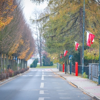 Biało-czerwone flagi na ulicach Pszczyny - 10.11.2024