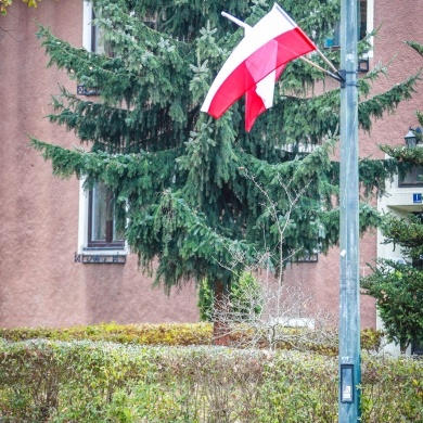 Biało-czerwone flagi na ulicach Pszczyny - 10.11.2024