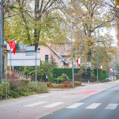 Biało-czerwone flagi na ulicach Pszczyny - 10.11.2024